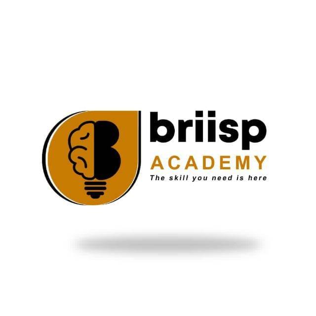 Briisp Academy Logo